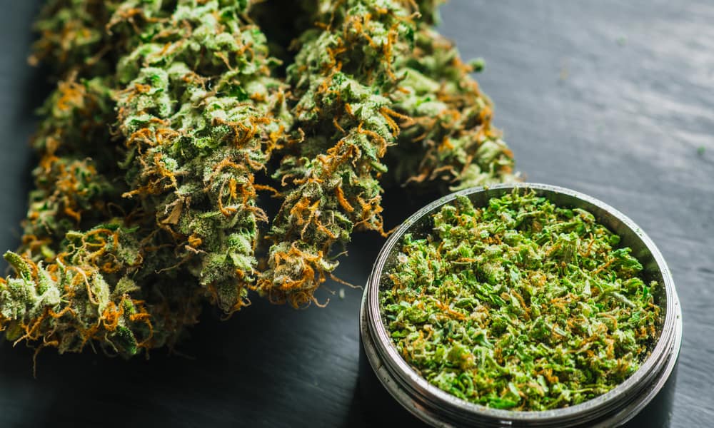 How to Grind Weed Without a Grinder: The High Times Guide