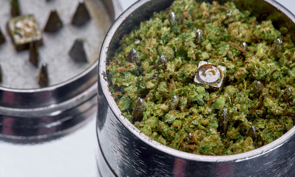 Why Do You Need To Grind Your Weed? | High Times