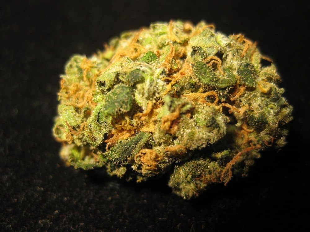 10 Colorful Weed Strains To Brighten Your Day