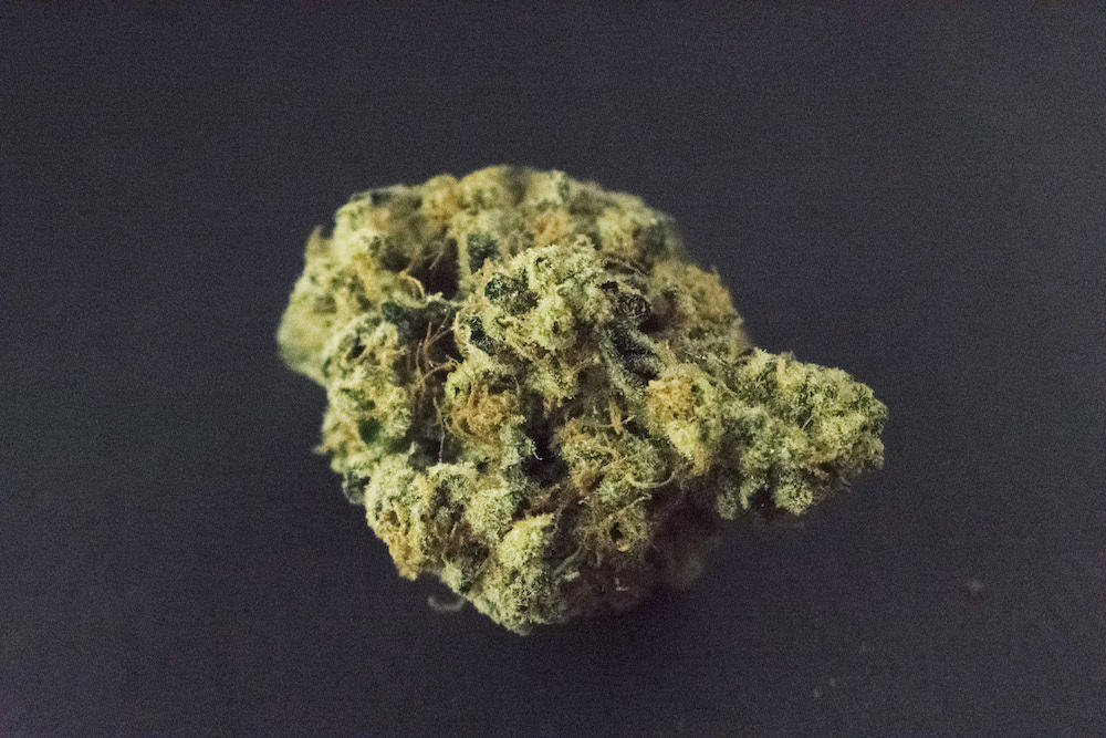 Winners of the September 2018 Michigan Cannabis Cup