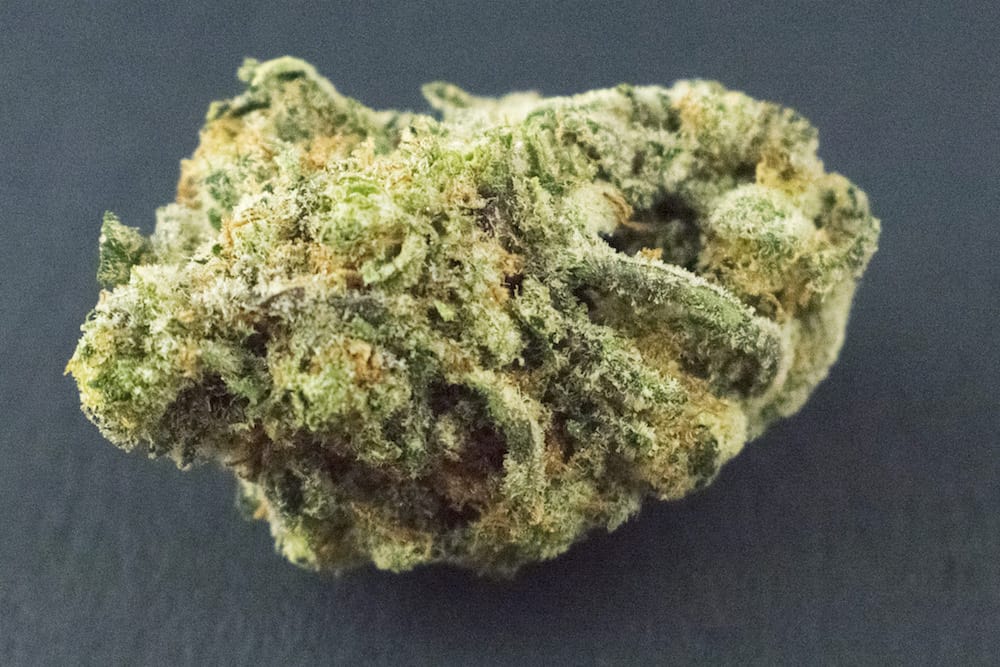 Winners of the September 2018 Michigan Cannabis Cup