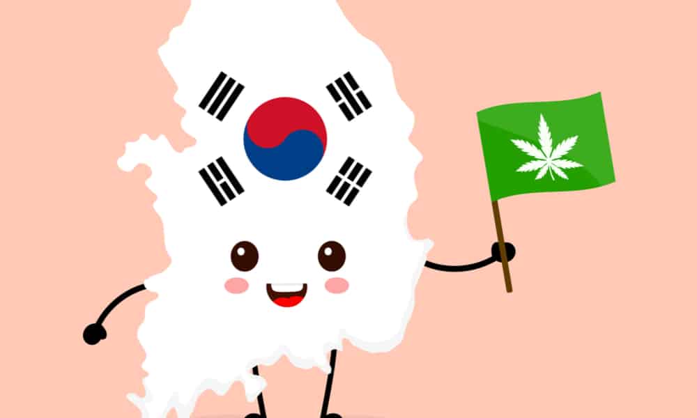 легализация марихуаны в северной корее