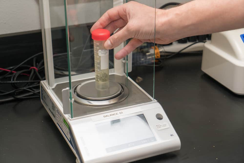 Putting THC Testing in Oregon to the Test