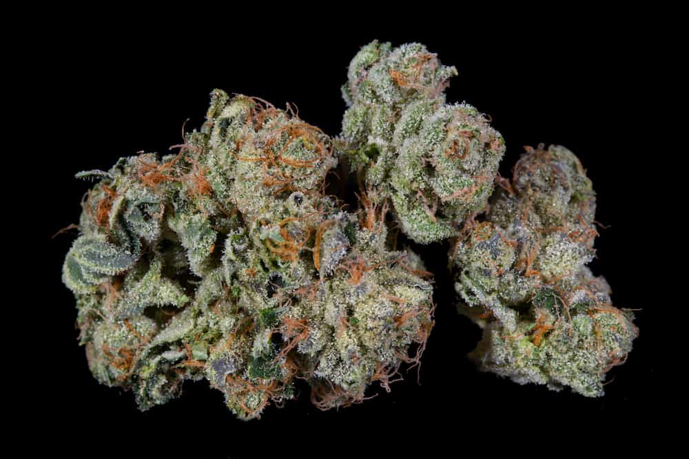 The Top 10 Cannabis Strains of 2018