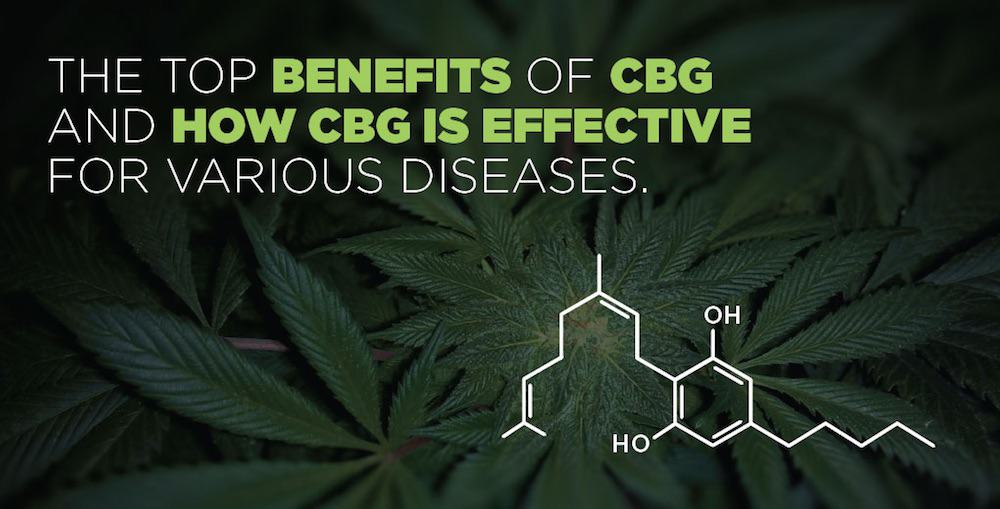 CBG & THCV—The Next Big Cannabinoids