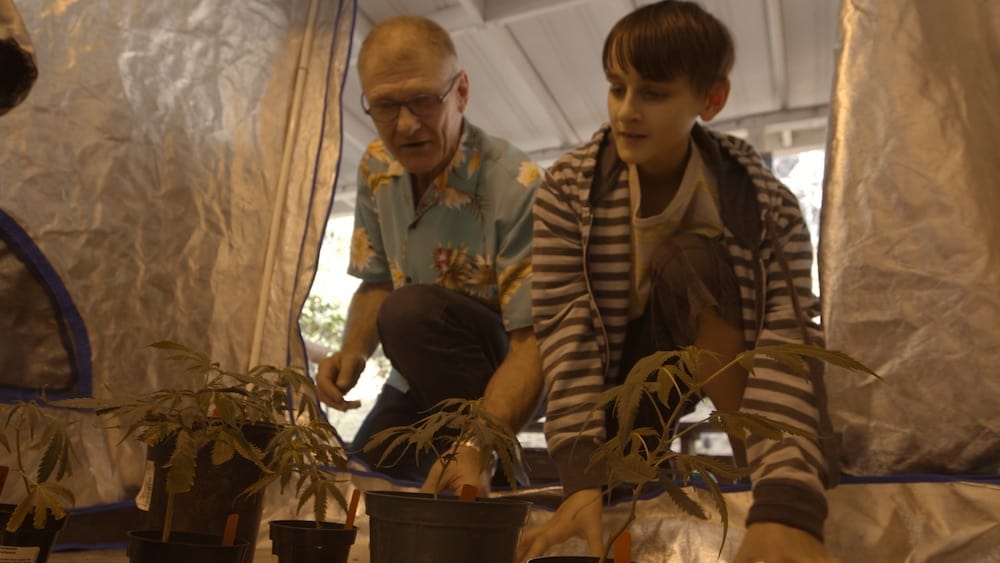 Weed the People Chronicles Families Searching For Cannabis Cancer Treatments