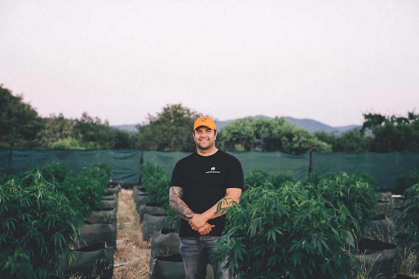 The High Times 100 of 2019