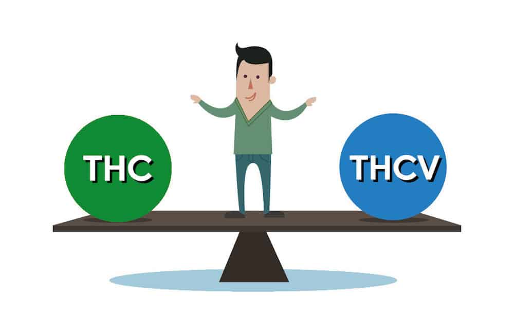 THCV: Enhance Your High and Lose Weight