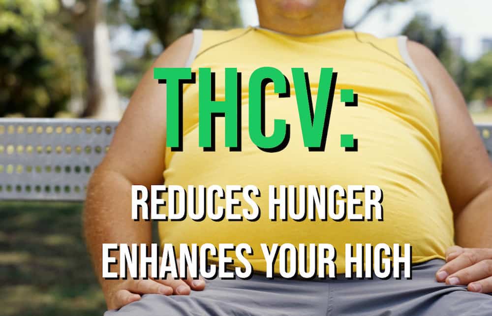 THCV: Enhance Your High and Lose Weight