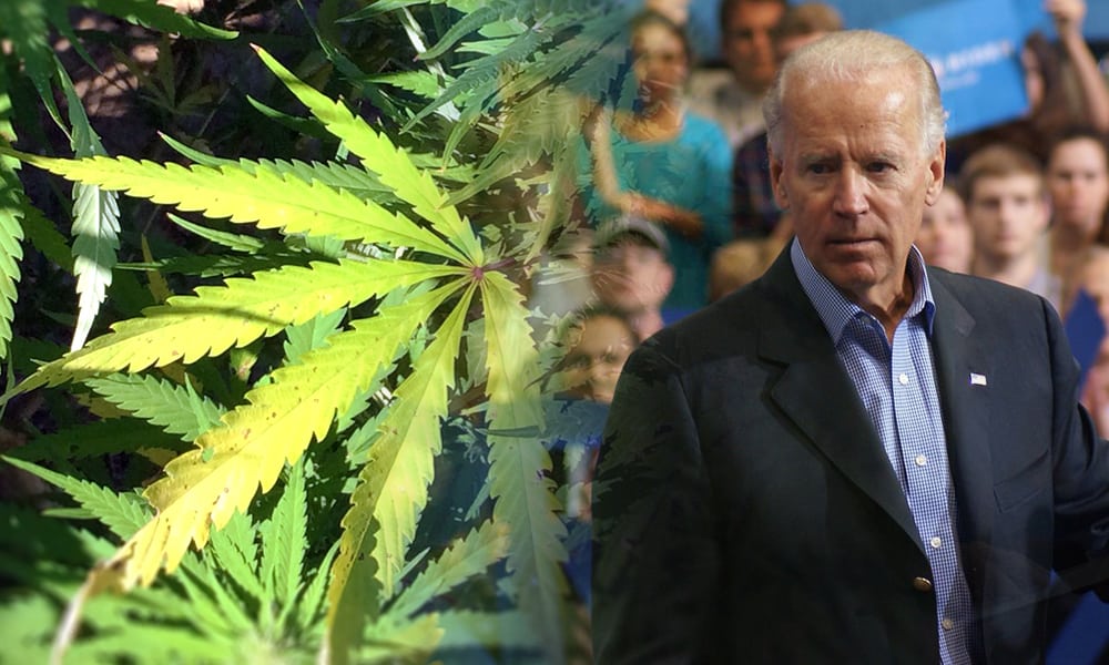 Biden Pardons All Federal Offenses of Simple Marijuana Possession [VIDEO]