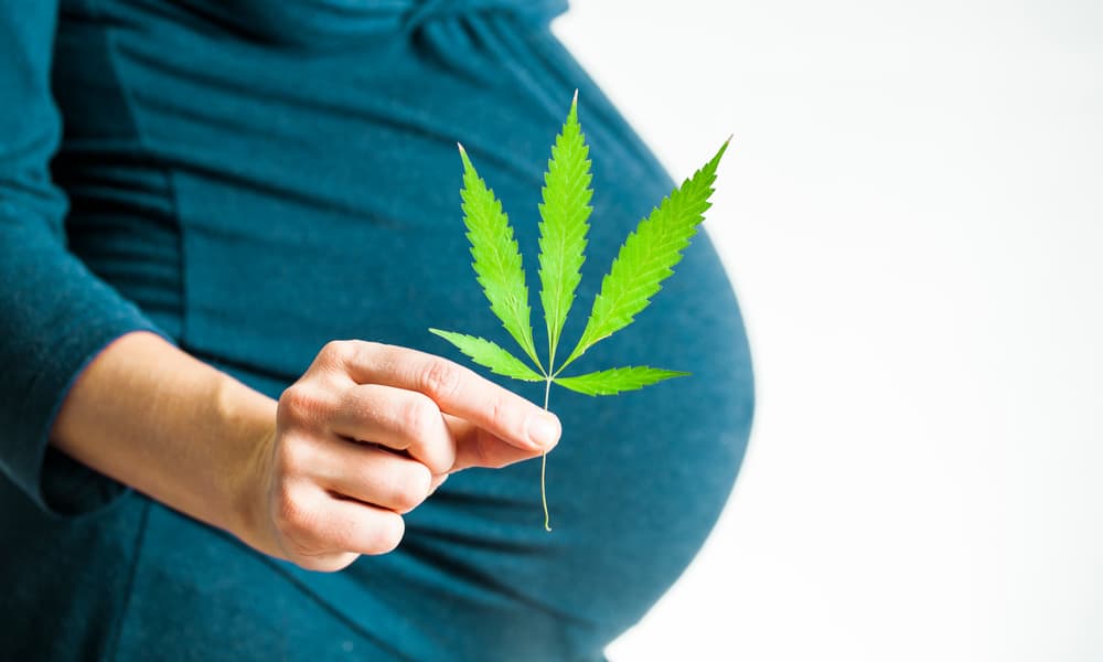 марихуана вредна ли беременным