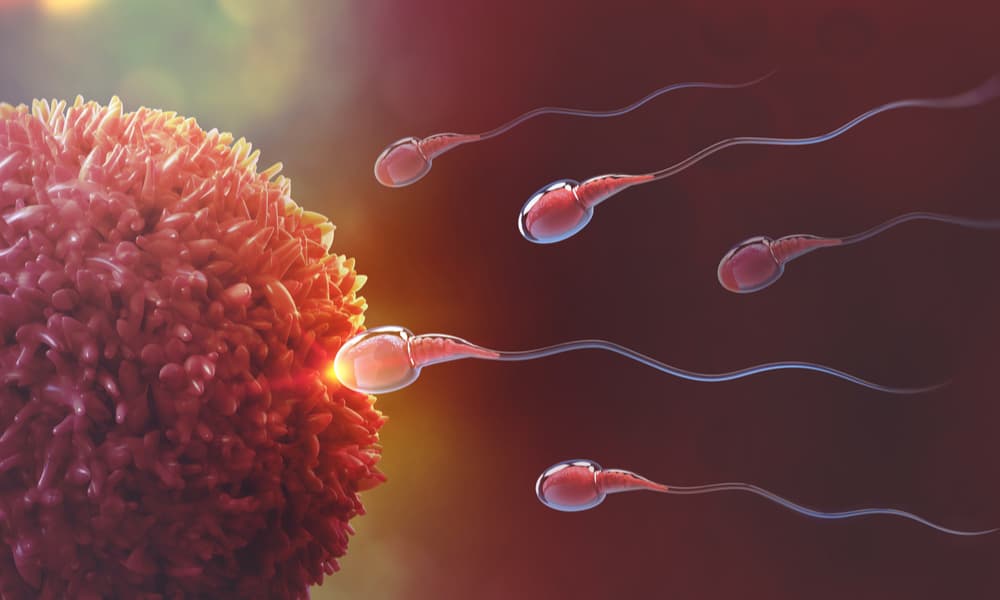 How Does Cannabis Impact Fertility It Depends On Who You Ask High Times