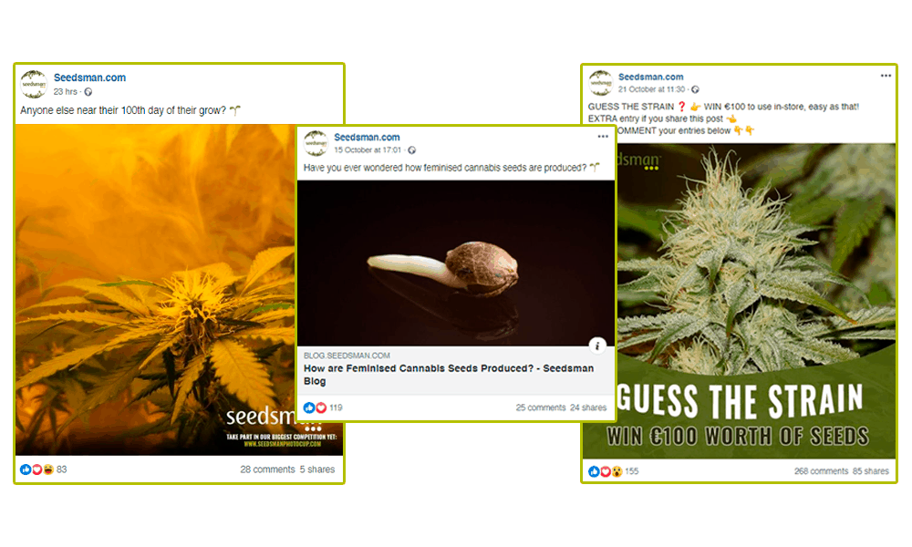 Top 10 Cannabis Facebook Pages to Follow
