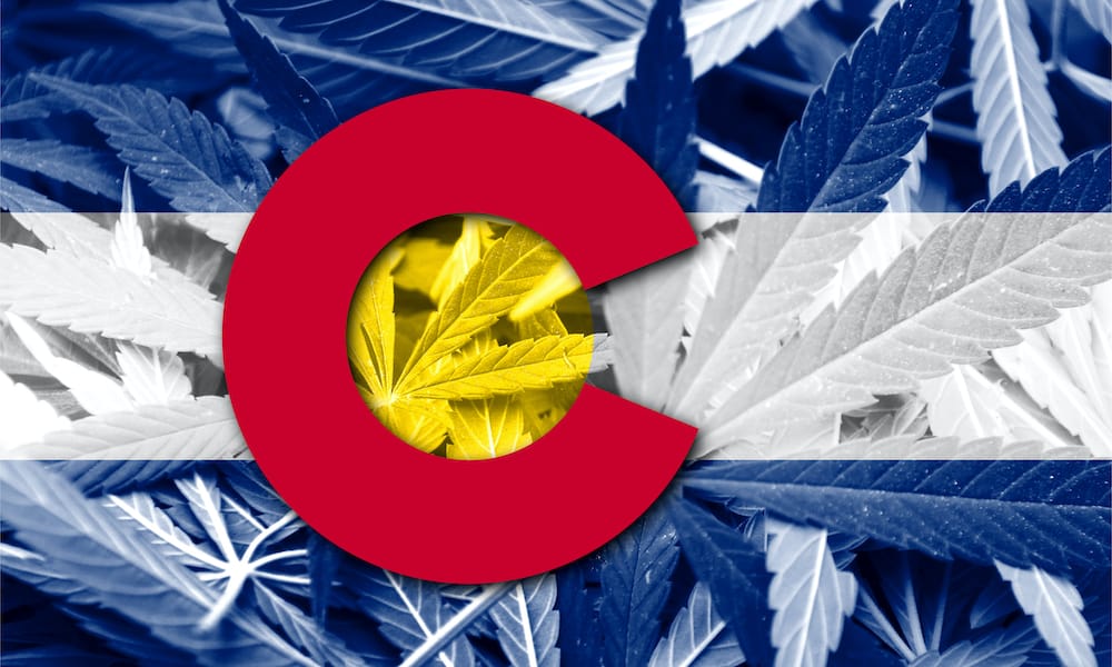 The Winners of the Cannabis Cup Colorado 2019  High Times