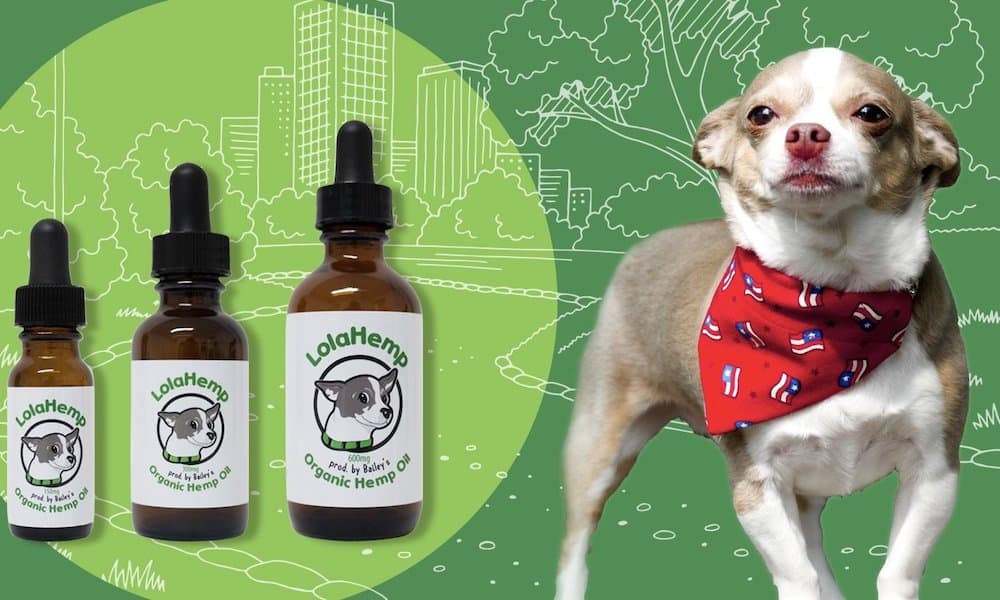 The Black Friday Guide To Cannabis Brands Giving Back