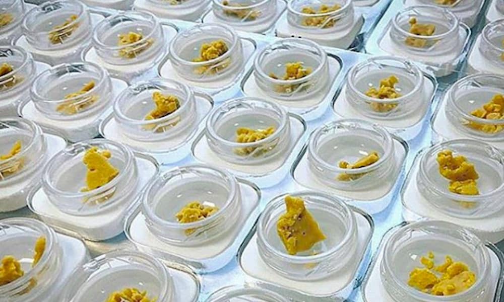 What Is Propane Hash Oil (PHO), Dabbing Resources