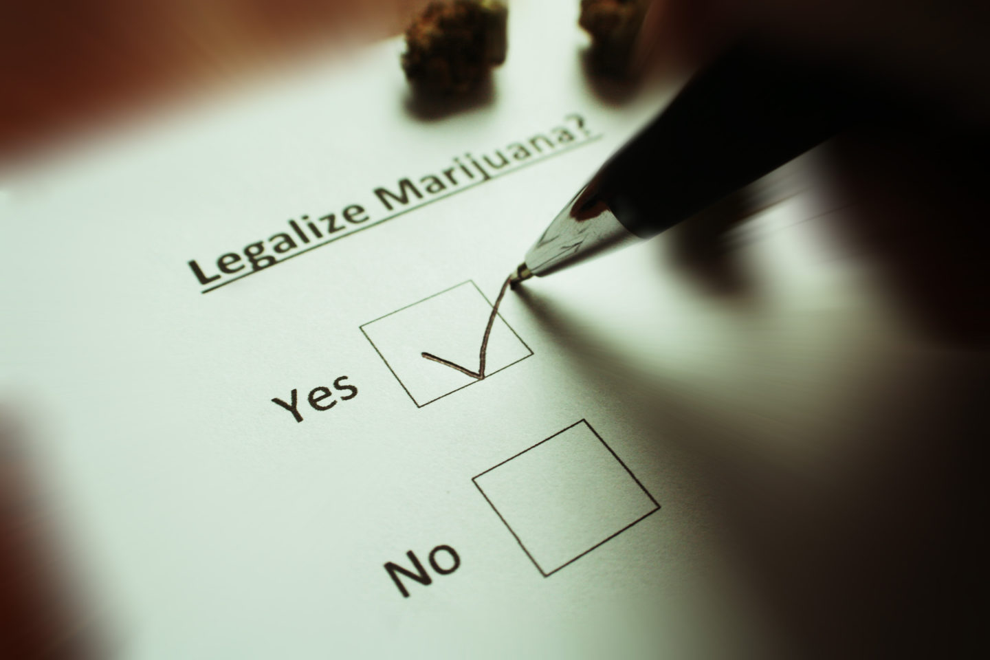 photo of Survey Shows Support For Marijuana Legalization Among South Dakota Voters image