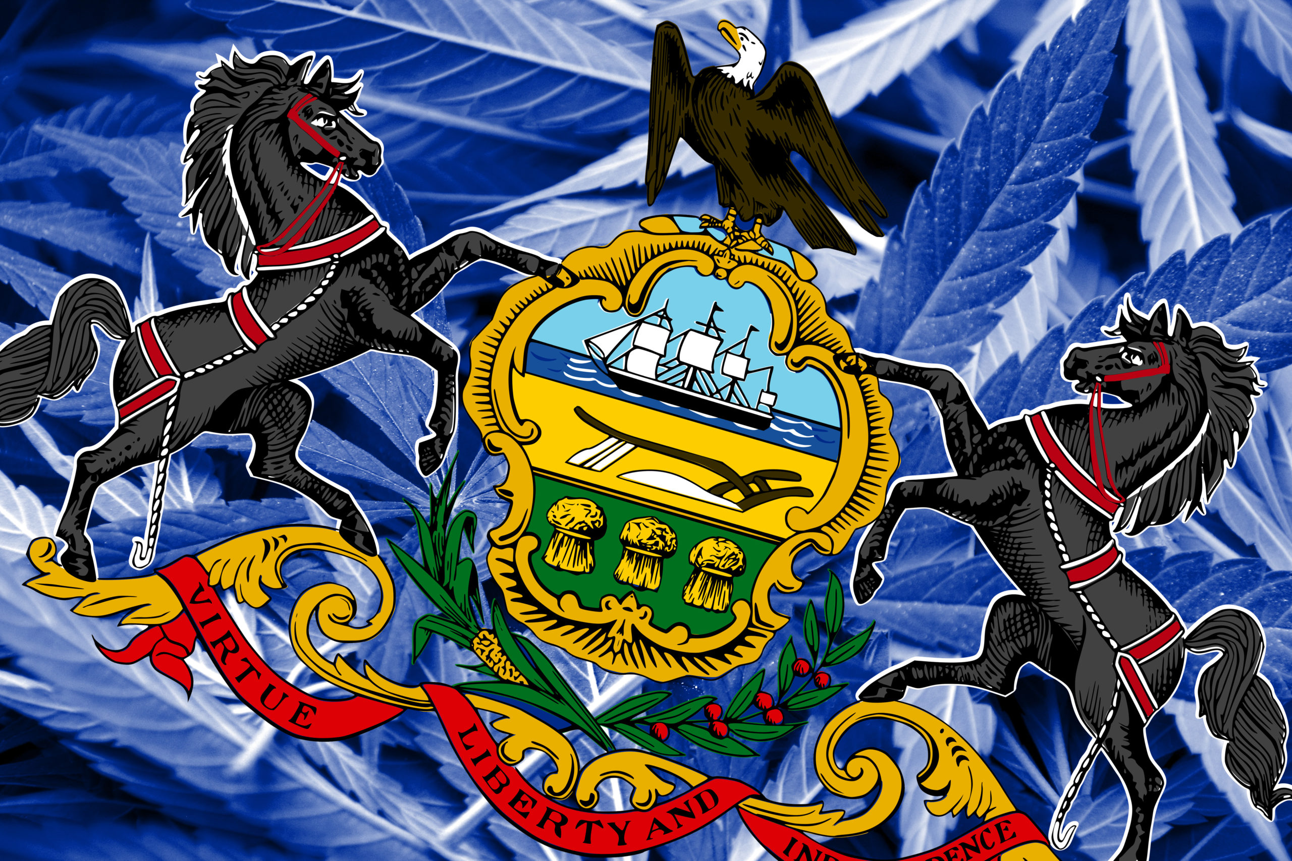 It's Time For Peace Legalize Cannabis Marijuana 5'x3' Flag 