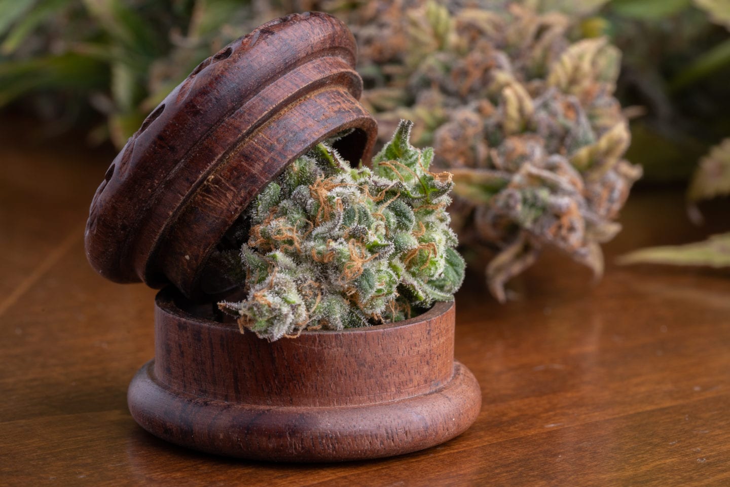 photo of Mexico Publishes Medical Cannabis Regulations image