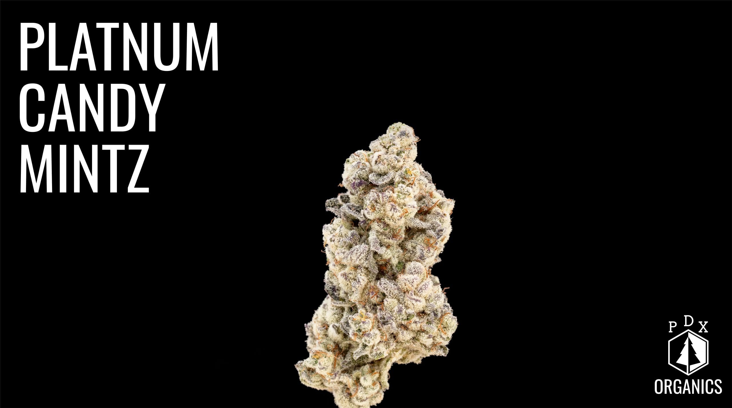 The Winners of The Cannabis Cup Oregon: People's Choice Edition 2020