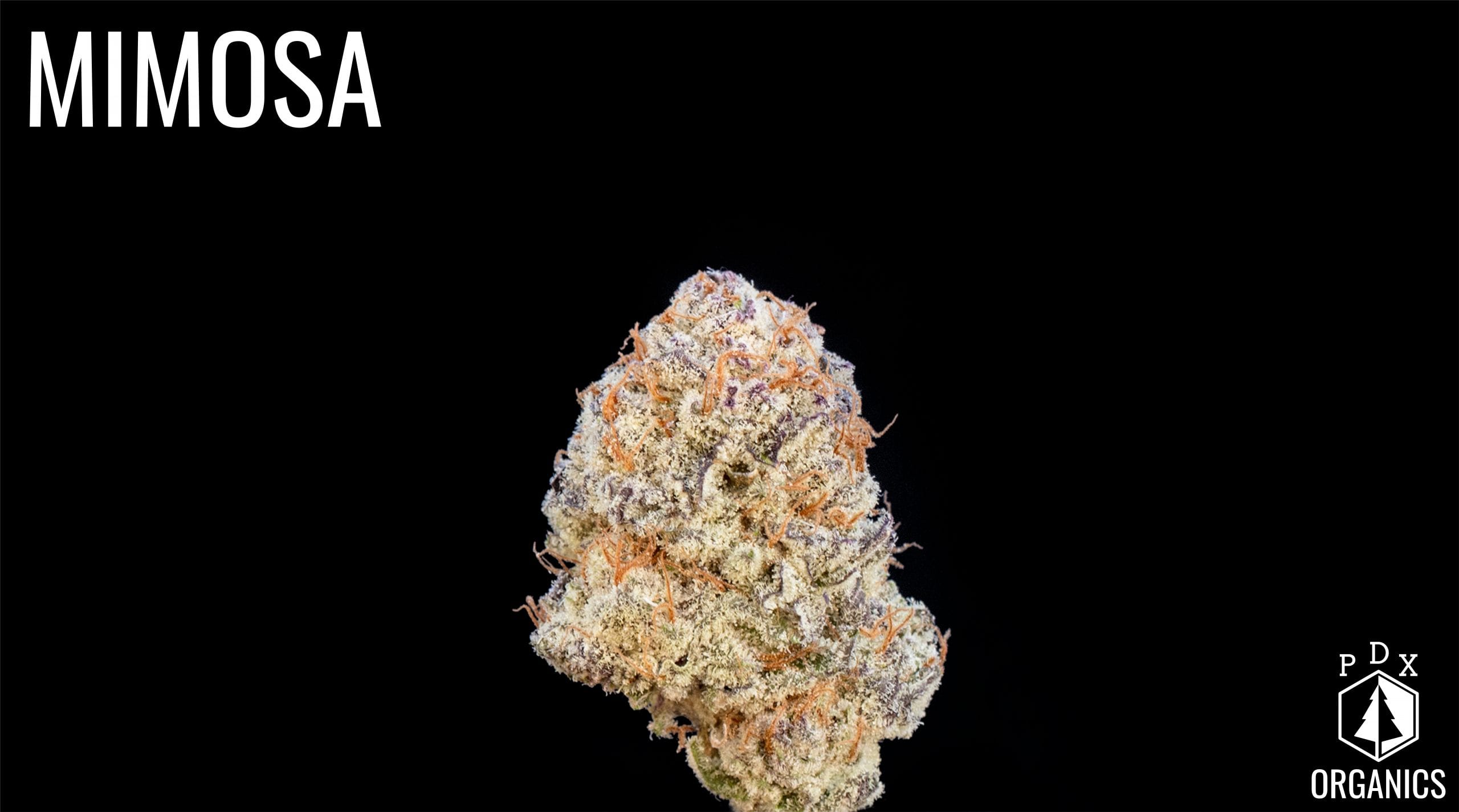 The Winners of The Cannabis Cup Oregon: People's Choice Edition 2020