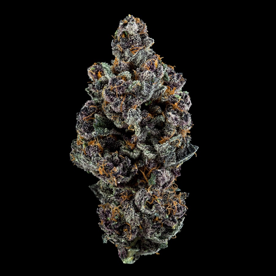 The Winners of The Cannabis Cup Oregon: People's Choice Edition 2020