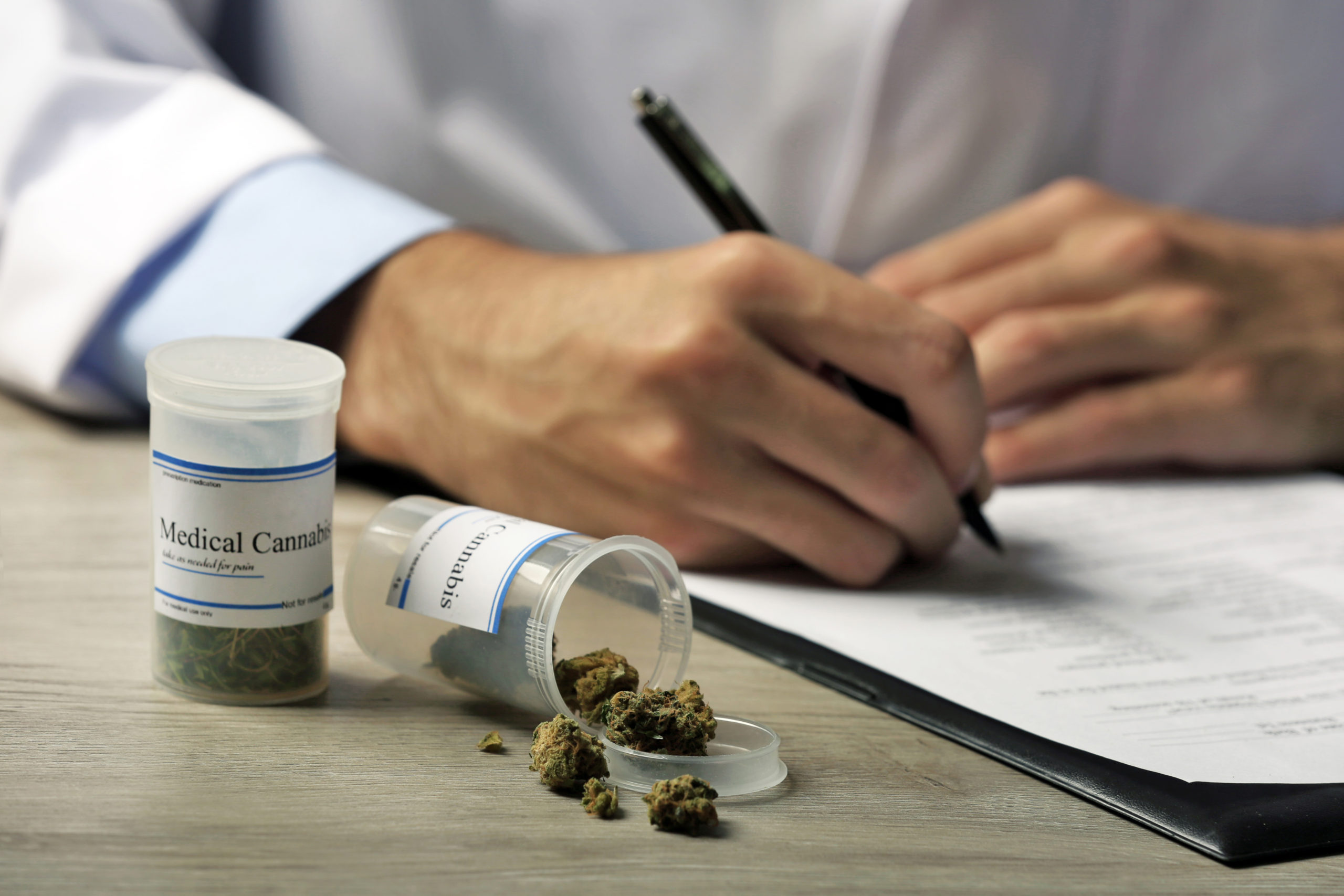 Prescribing Cannabis: A German Doctor At The Forefront of The 