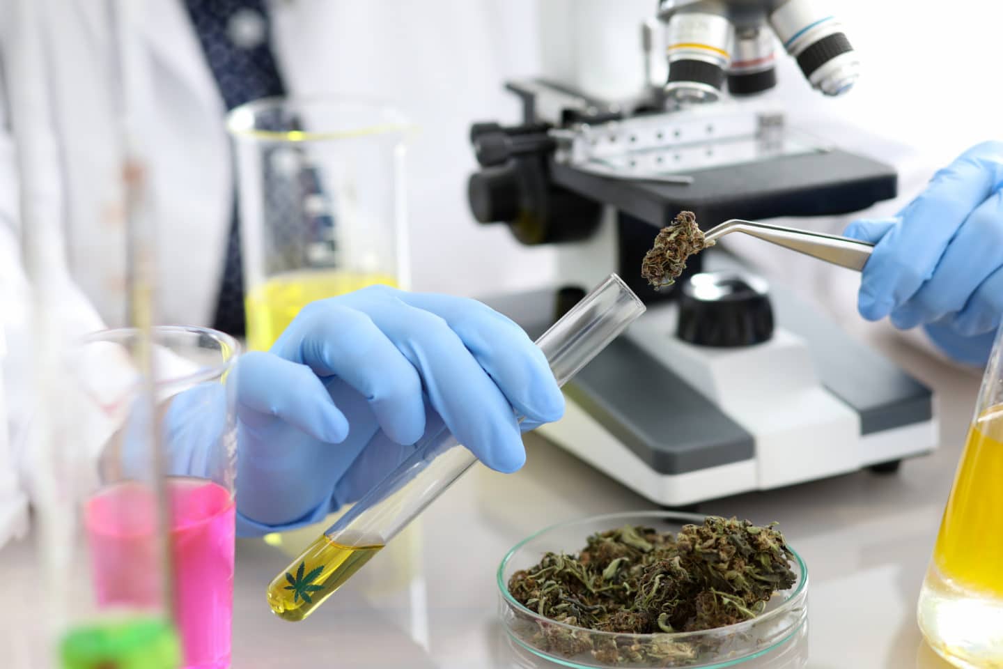 photo of Michigan University Offers Cannabis Chemistry Scholarship—The First In The Nation image