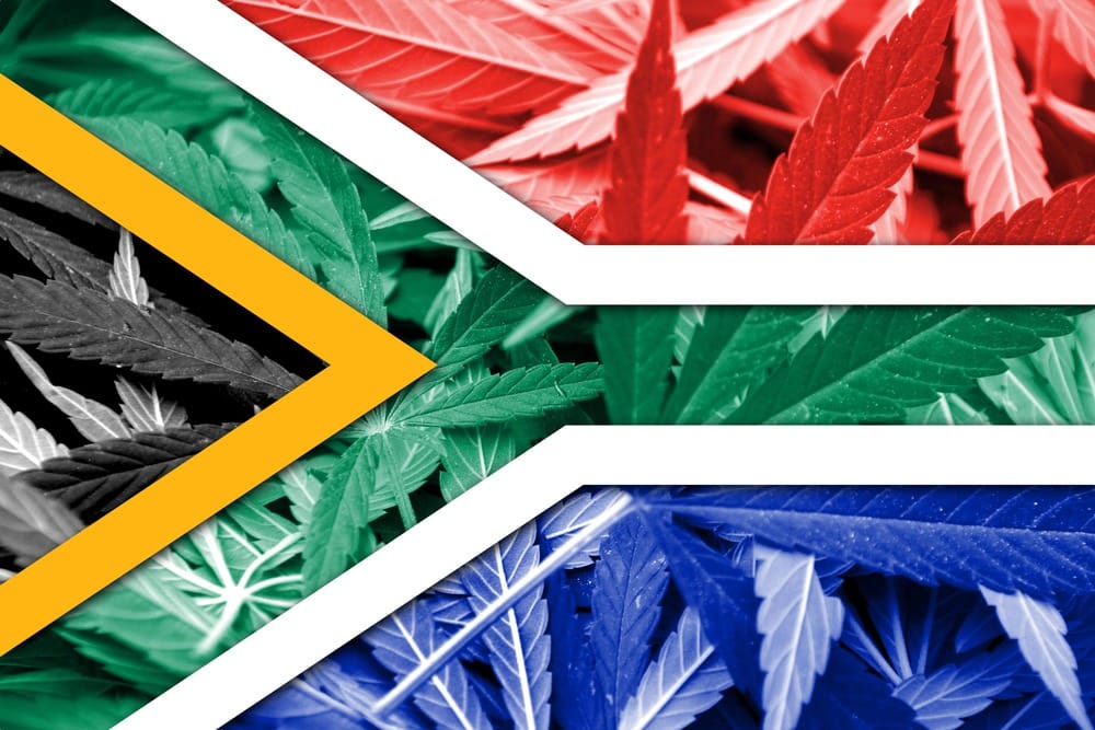 The South Africa Cannabis Struggle: Free At LastOr At Least in 