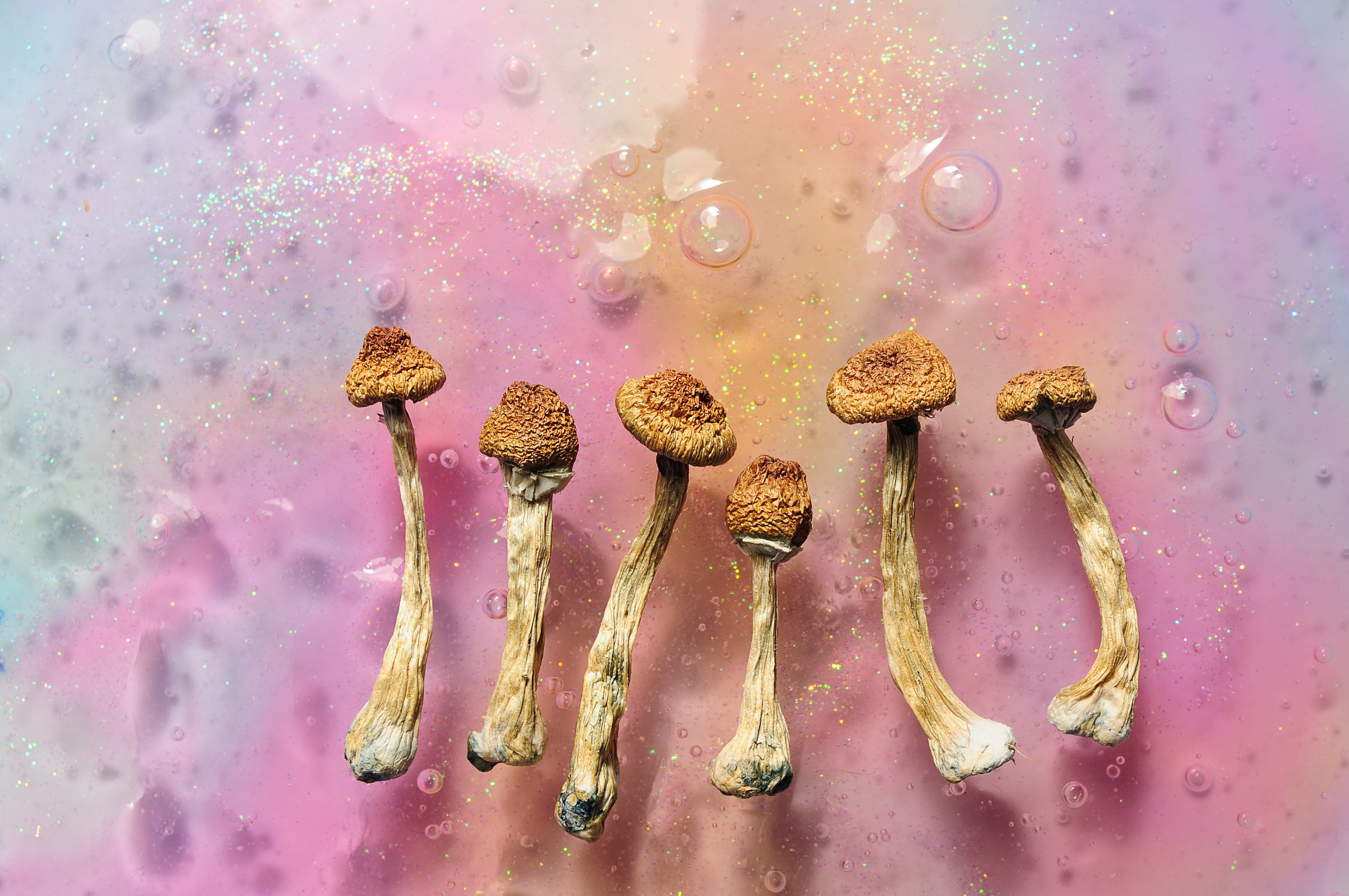 Canada Regulators Ease Access to Psychedelic Drugs