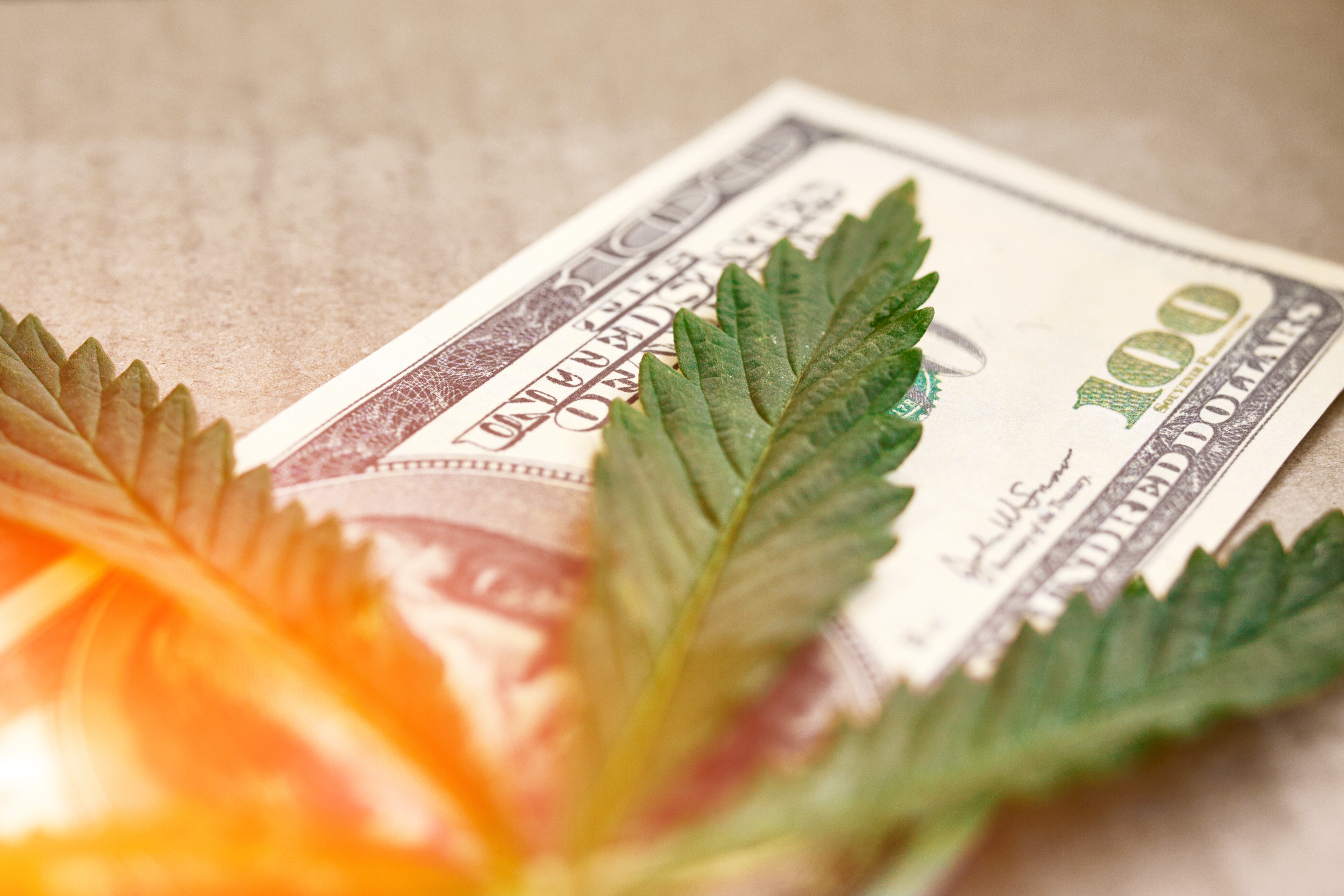 Arizona Cannabis Generates Over $1B Of Revenue In 2021 | High Times