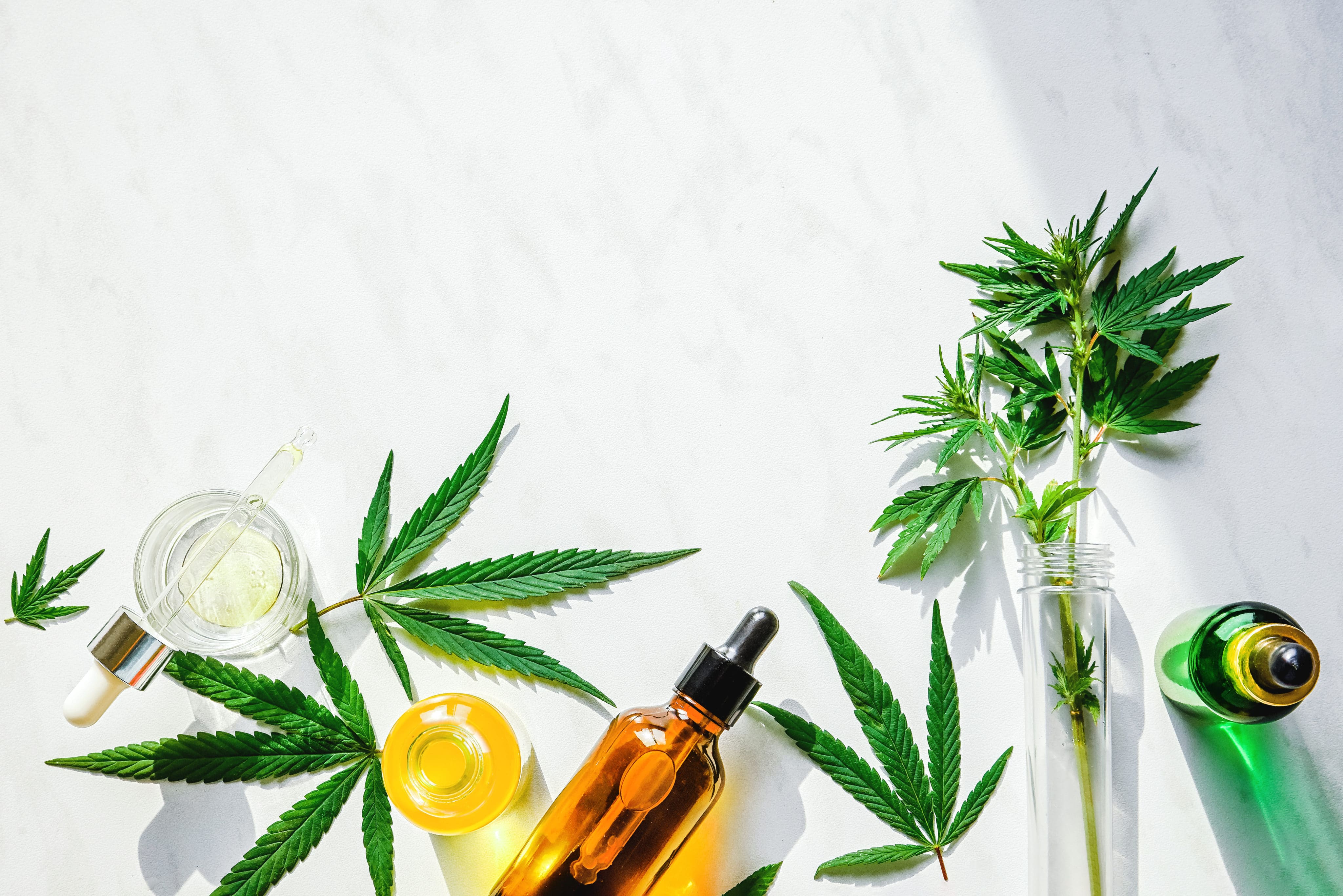 European Commission Makes Two Big Steps on CBD Reform Front