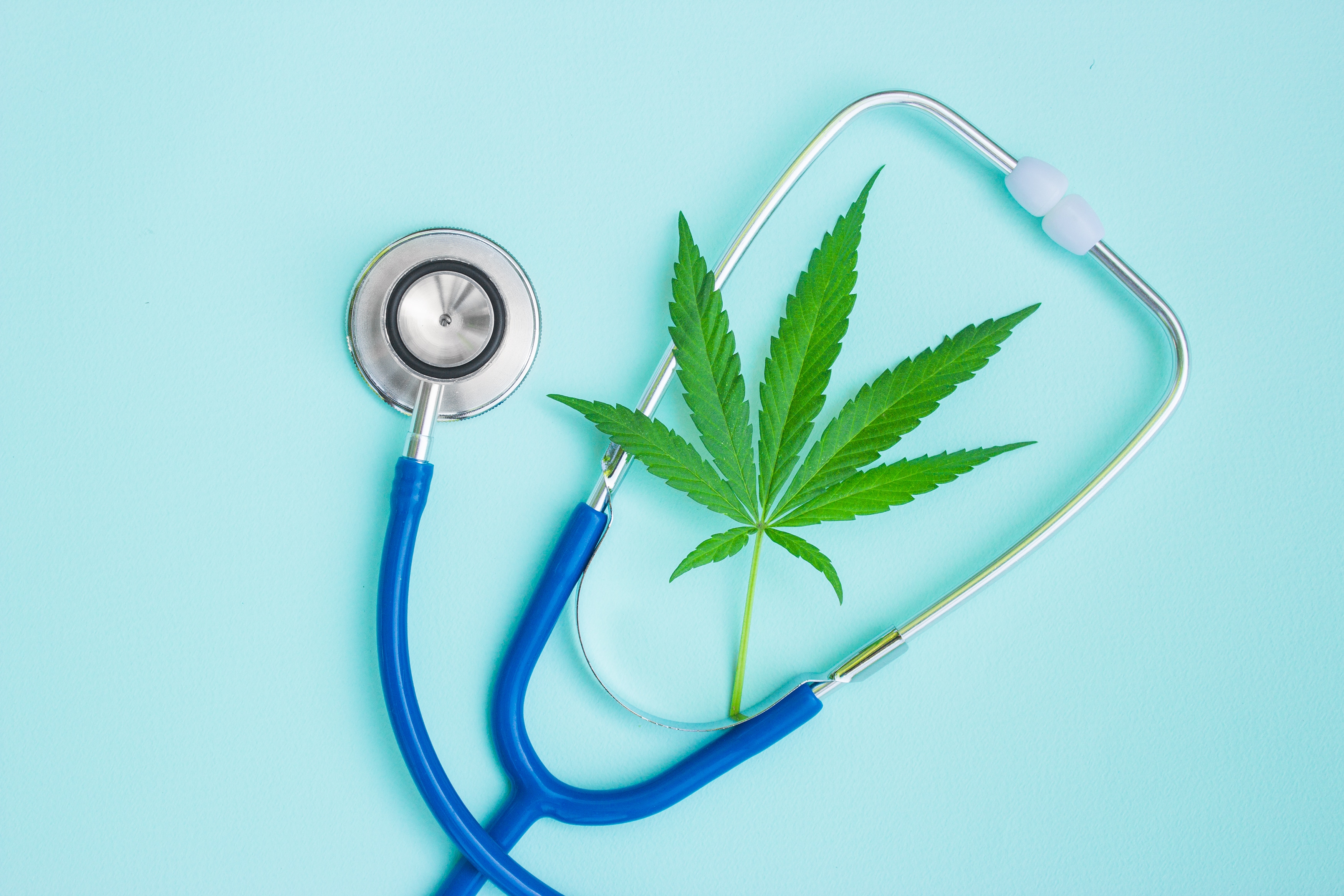 Alabama Regulators Set Timeline For Medical Cannabis Rollout