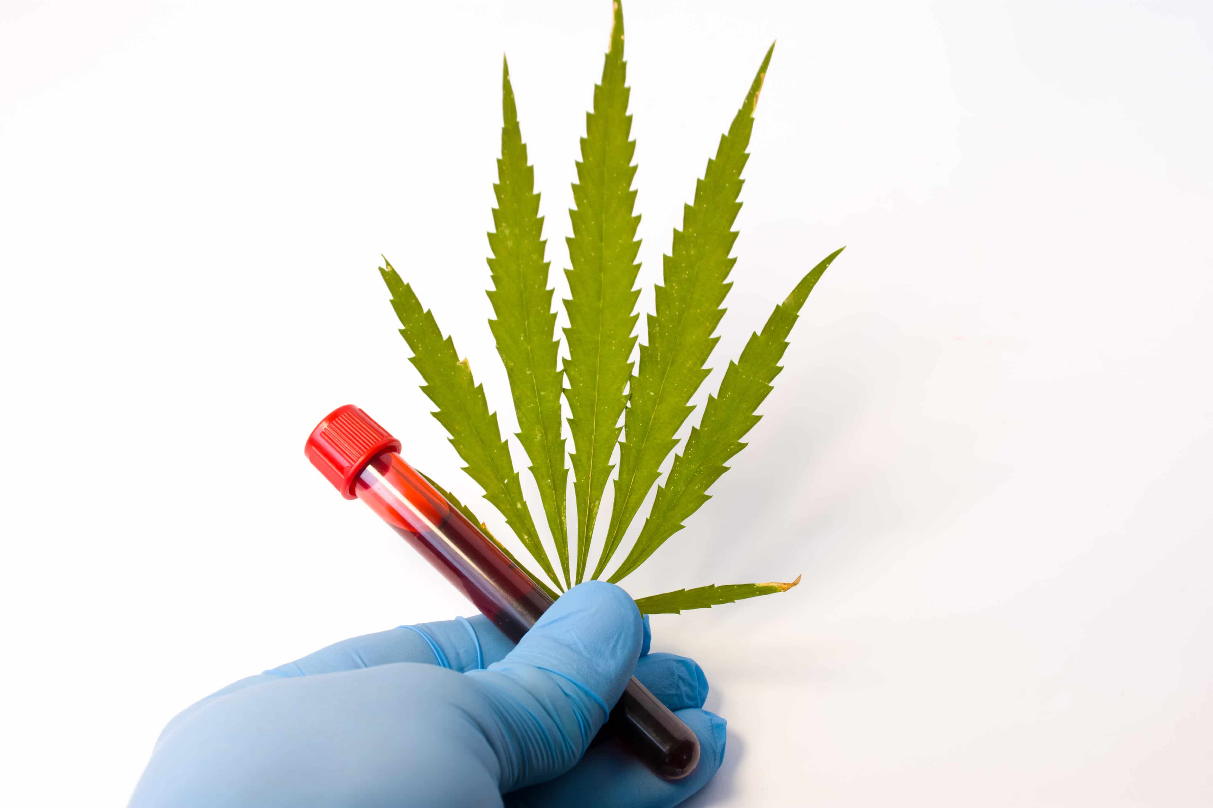 Study Finds THC Detected in Blood or Breath Does Not Indicate Impairment