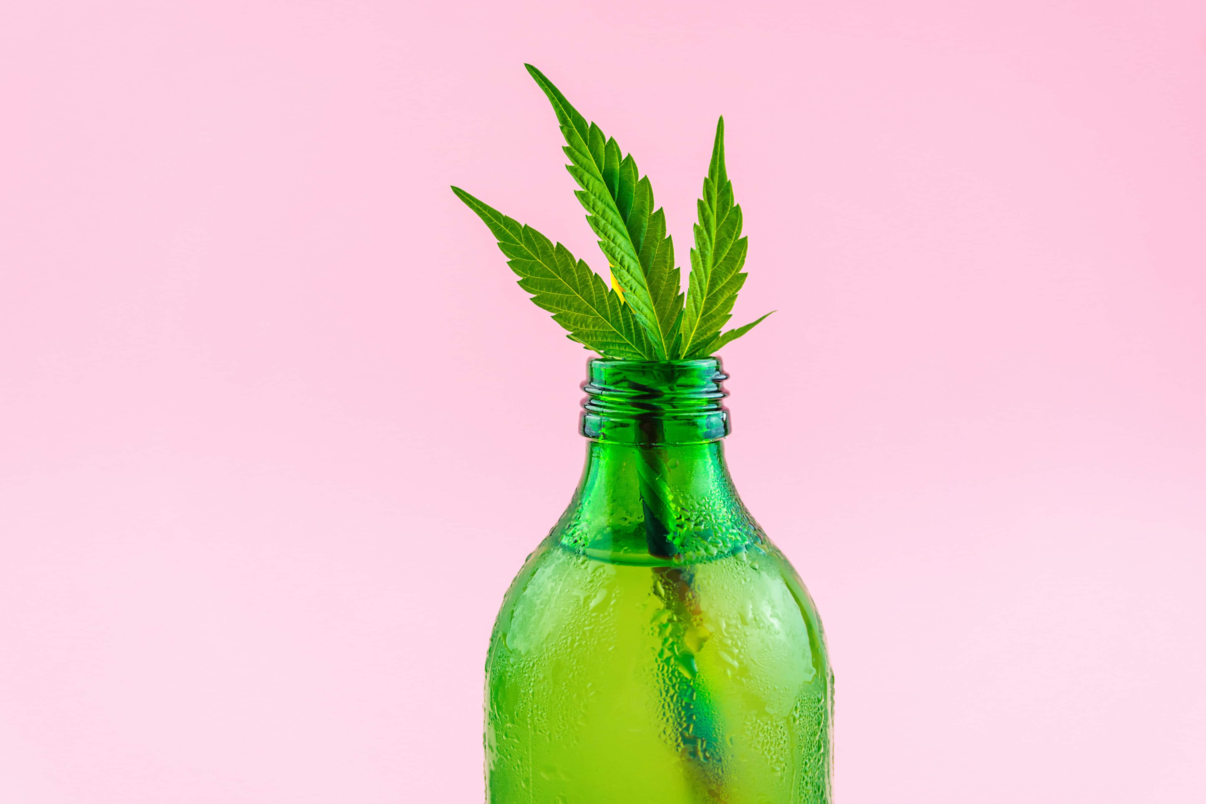 Cannabis Drinks Expo to Hit Chicago and San Francisco
