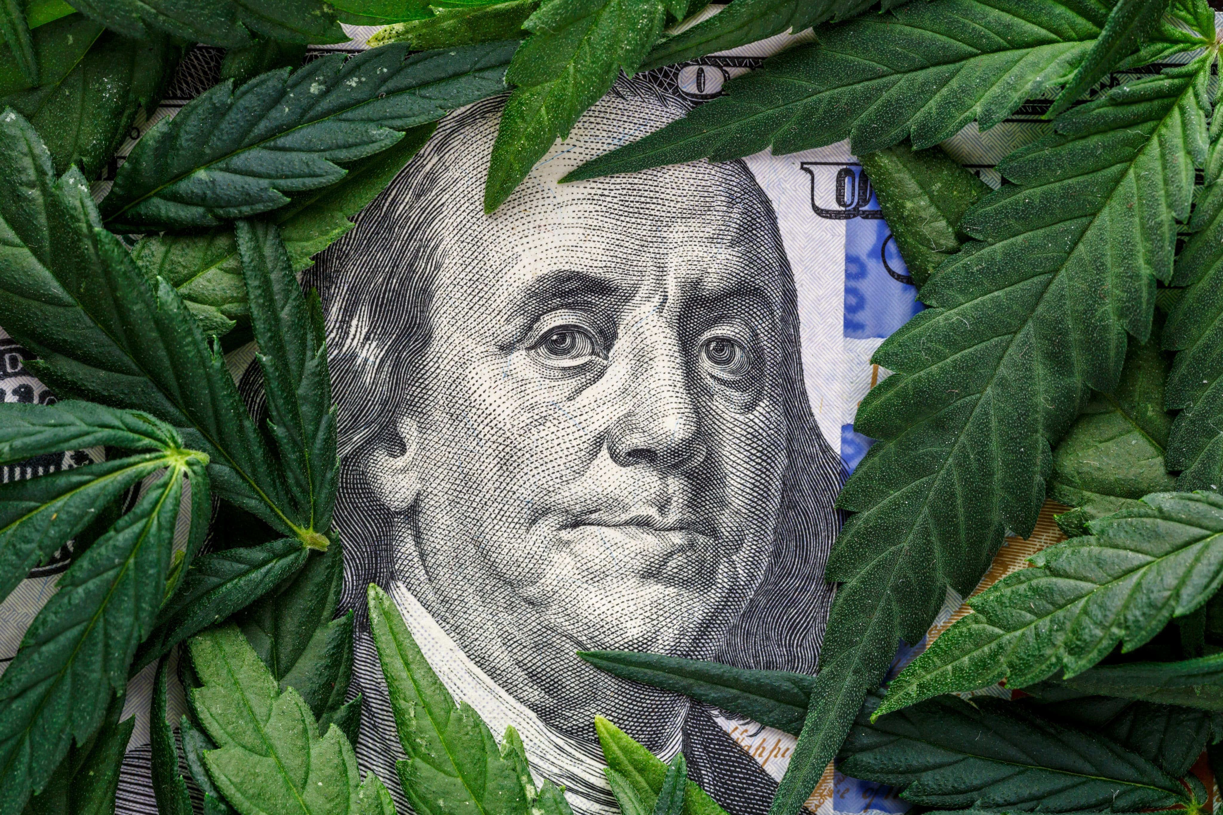 California Uses Cannabis Tax Revenue to Grant $35.5 Million to Community Organizations