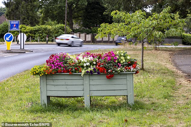 Pot in a Planter! Cannabis Found in British Village’s Public Floral Display
