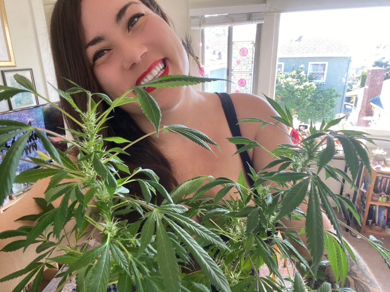 Cash Only’s 420 Recs: Weed Journalist Lindsey Carmela Bartlett