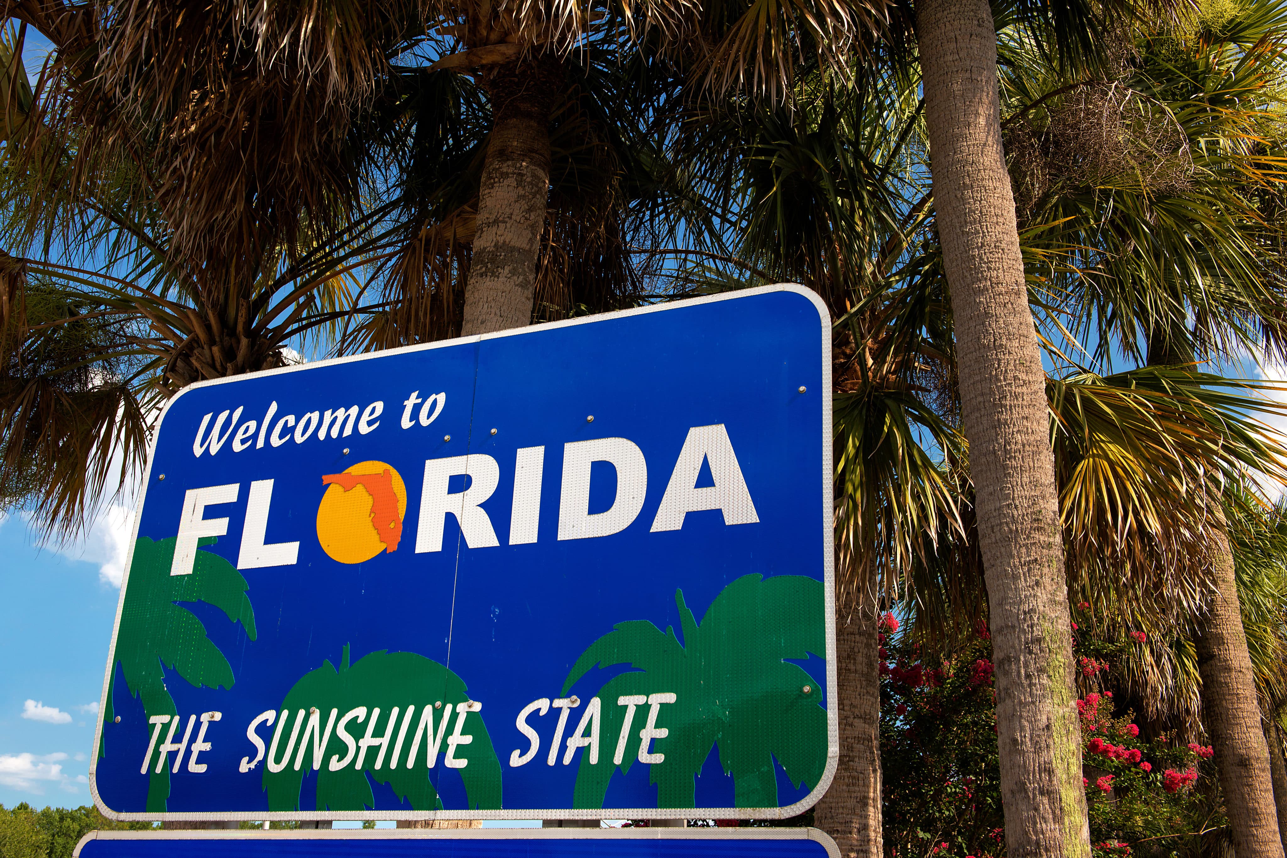 Newest Legalization Effort in Florida Receives $5 Million in Support