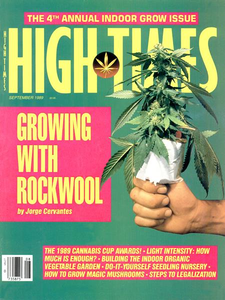From the Archives: The Steps to Legalization (1989)