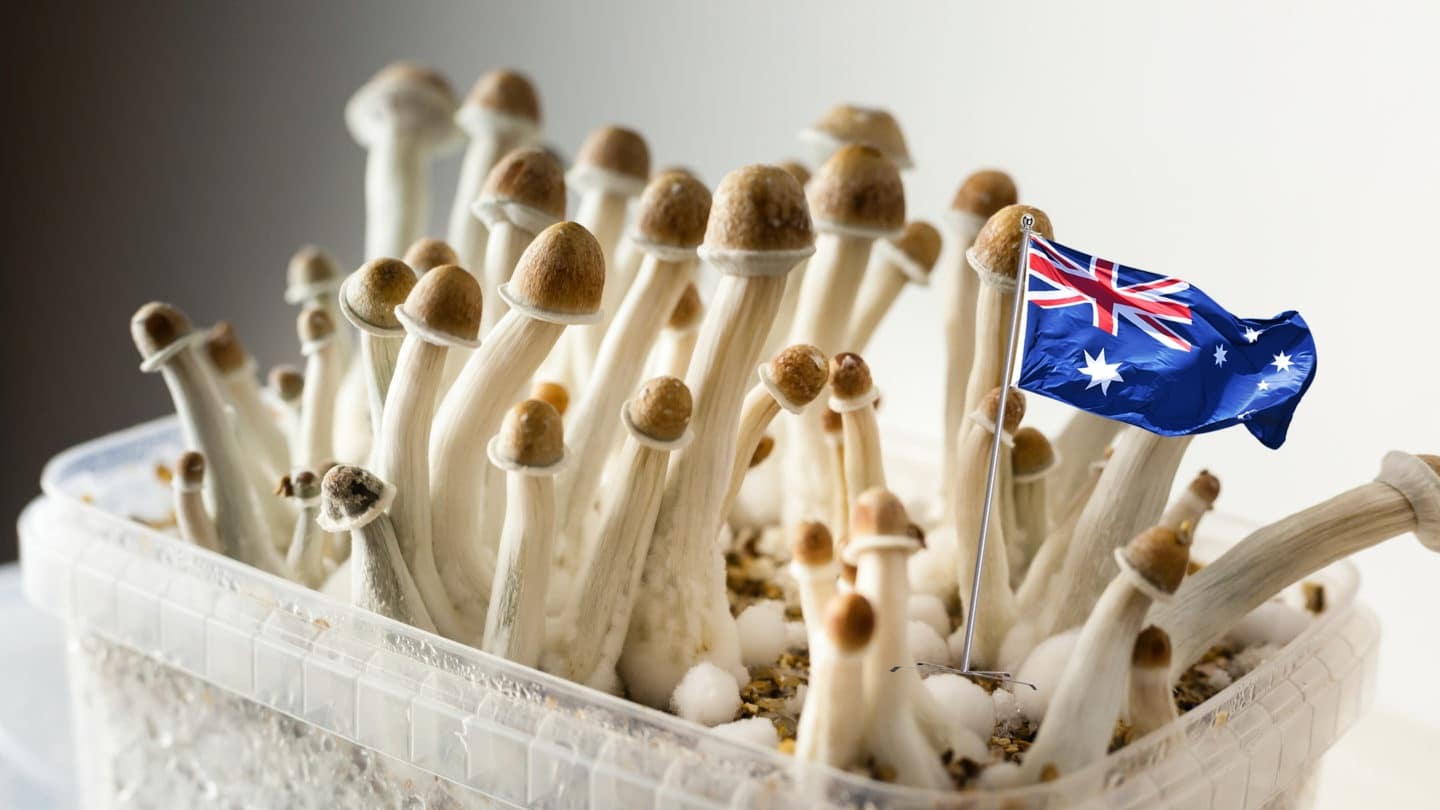 Australia Approves MDMA, Psilocybin for Therapeutic Use