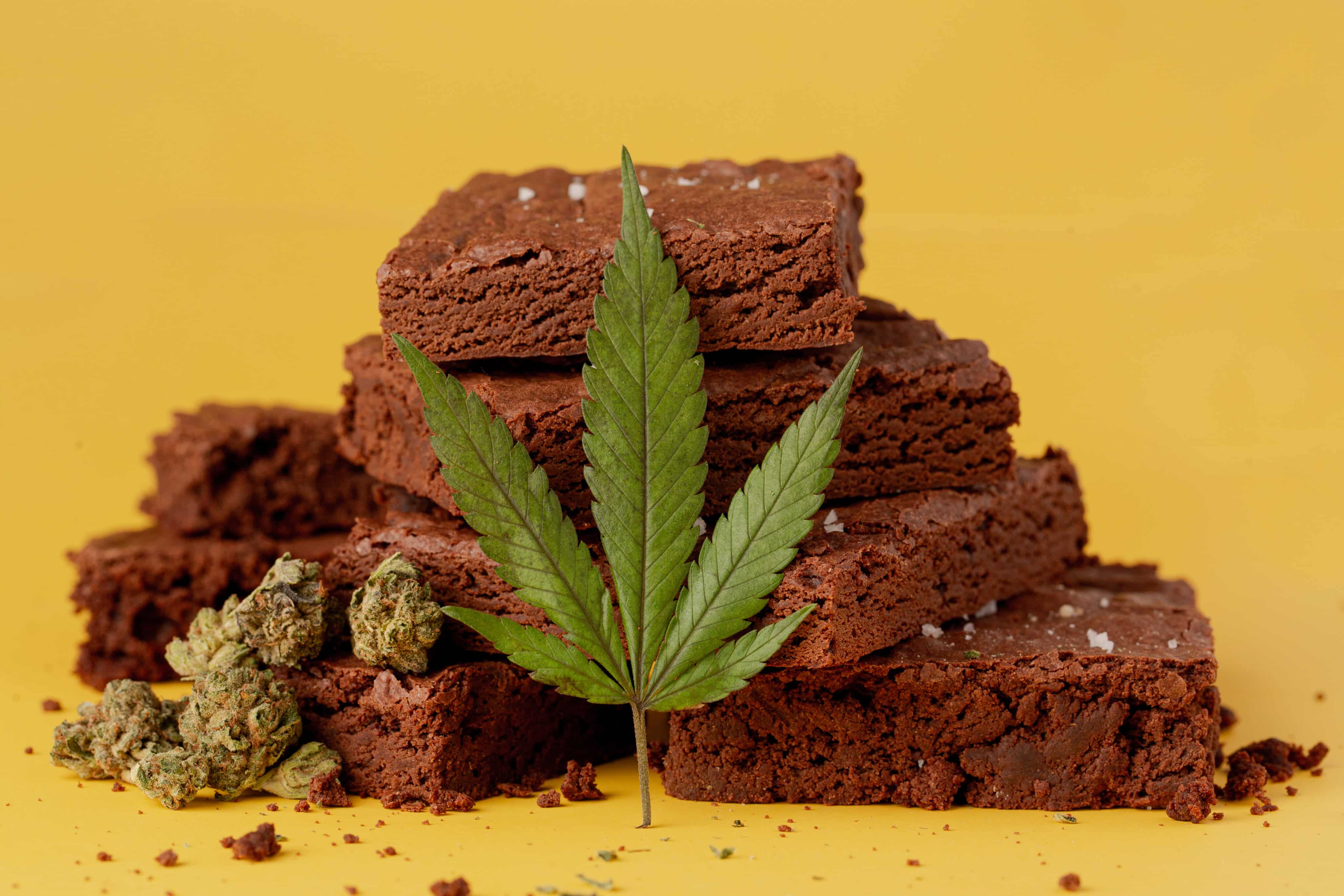 CBD May Magnify Effects of THC in Edibles, Johns Hopkins Study Suggests