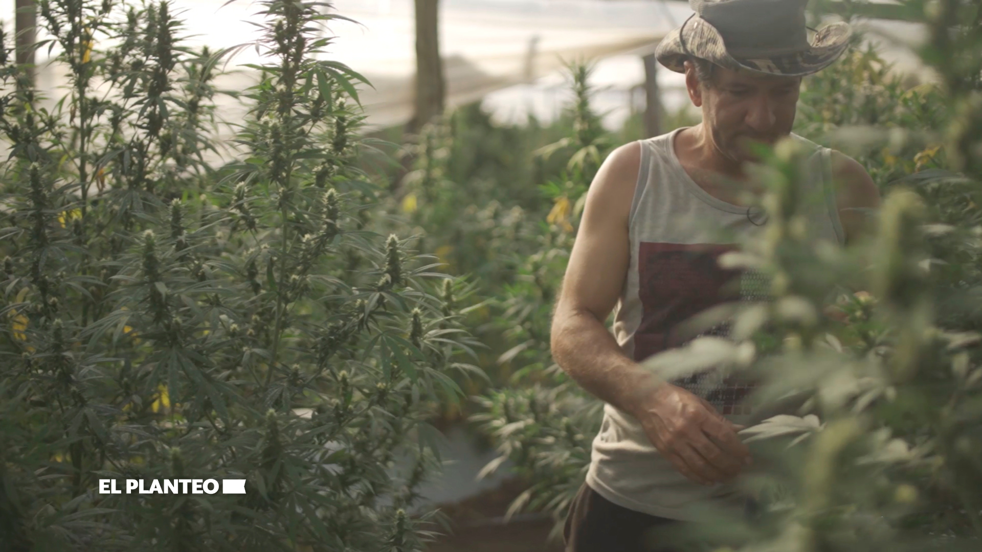 ¿Cómo Sigue la Legalización del Cannabis en Uruguay? Hablamos con los Responsables del Controvertido Documental ‘Flowers in the Night’
