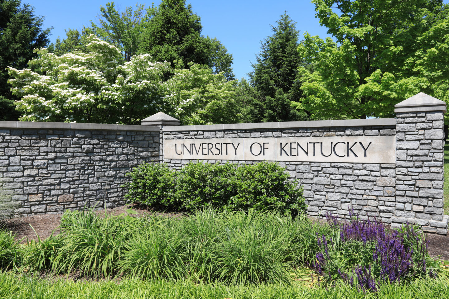University of Kentucky’s Cannabis Research Center Announces Inaugural Grants