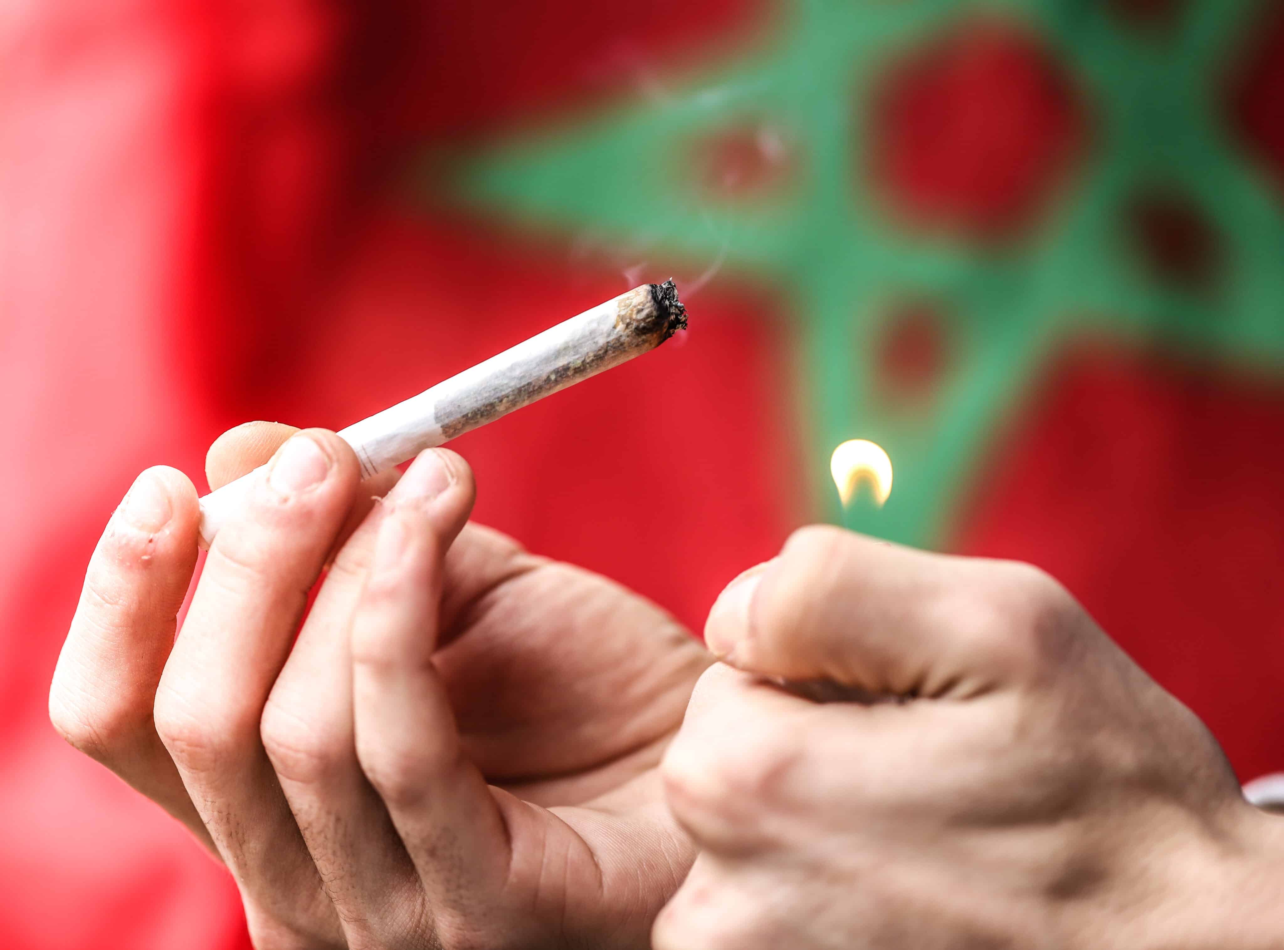 Morocco Officials Appoint New Leader of Cannabis Agency