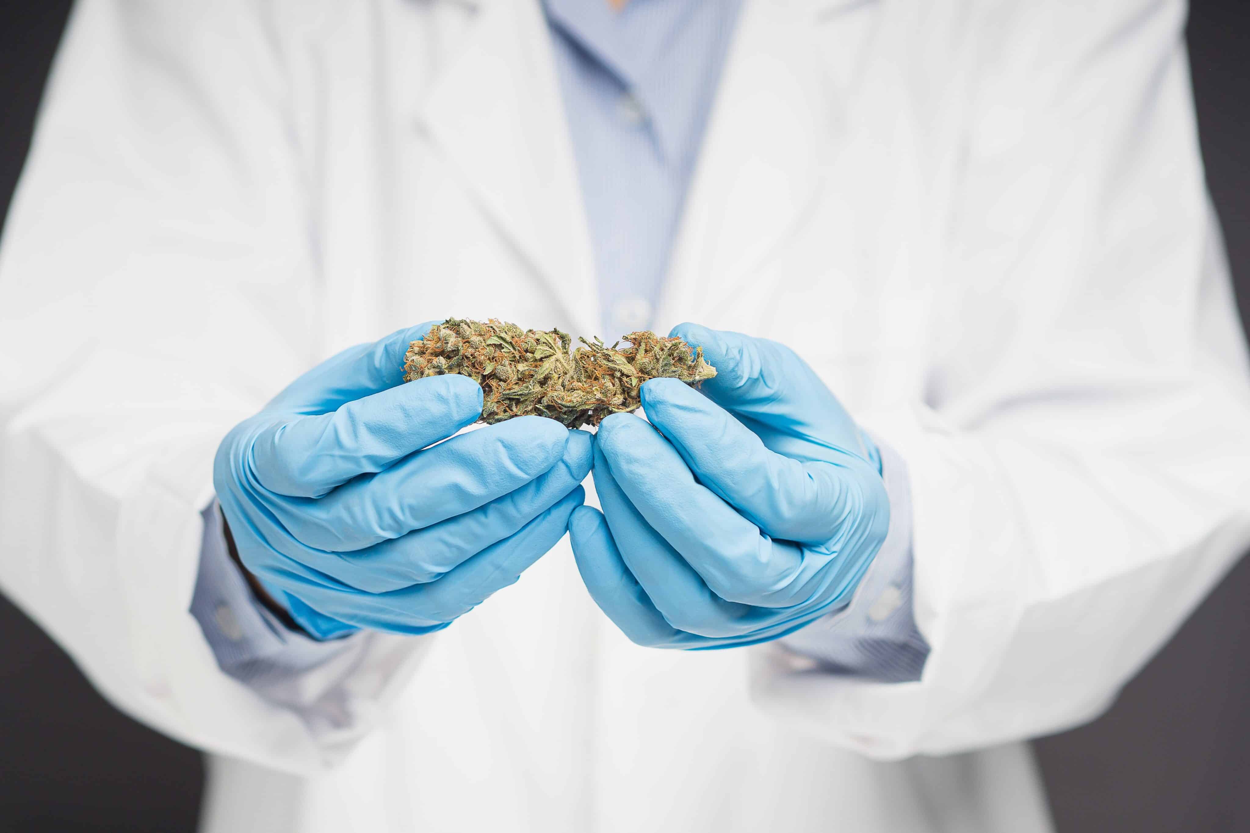 Report: 90% of Virginia Med Patients Obtain Weed Outside of State’s Medical Market
