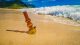 Hawaii