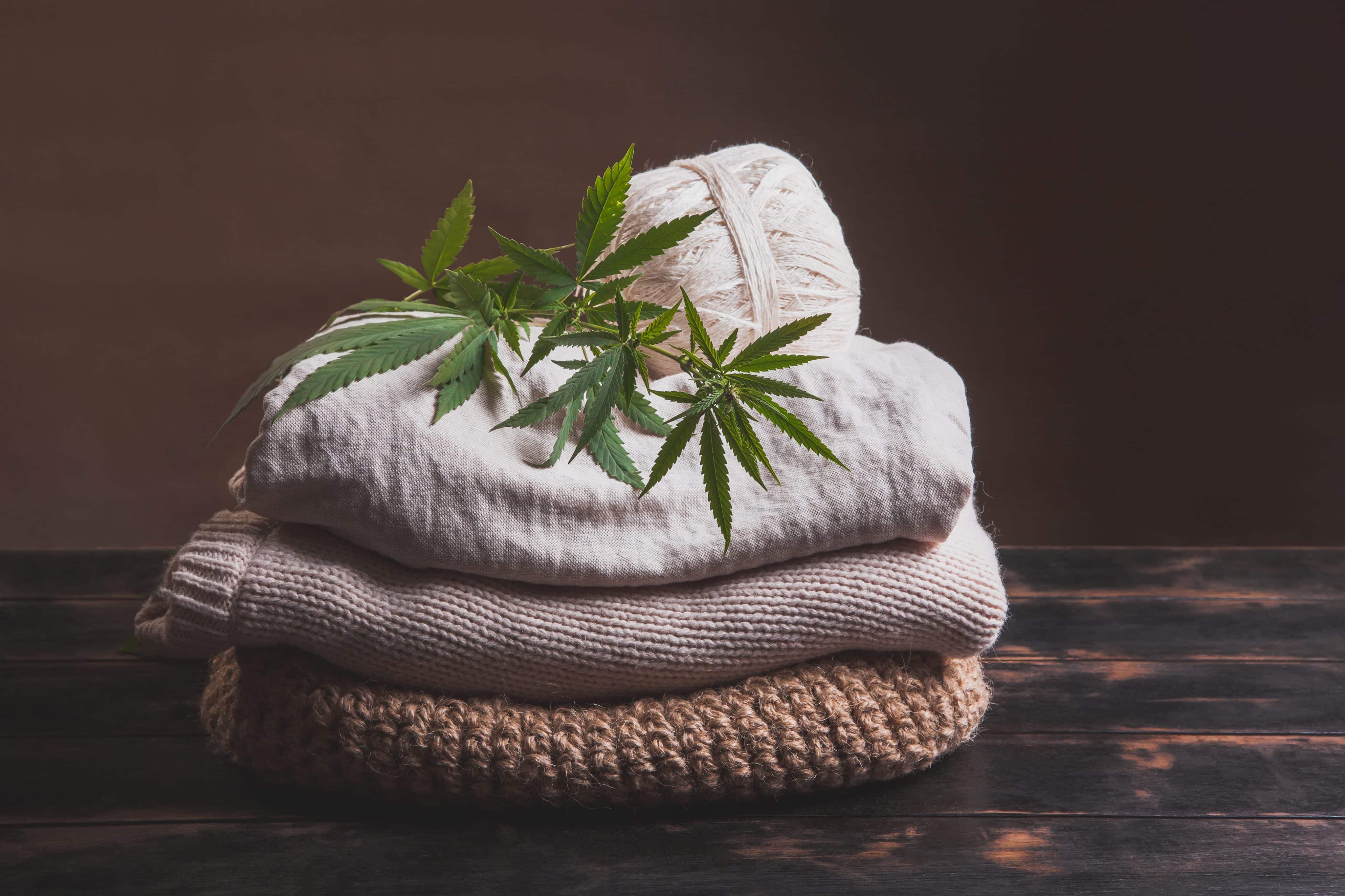 Comment on Hemp Clothing Market to Hit $23B by 2031, Report Predicts by Armando Ramos
