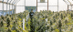 Jason Gellman Ridgeline Farms - photo by Justin Bowers