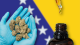 bosnia cannabis